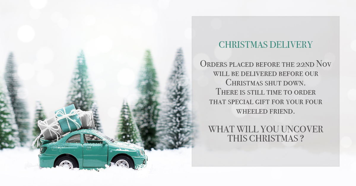 Click to read CHRISTMAS DELIVERY 